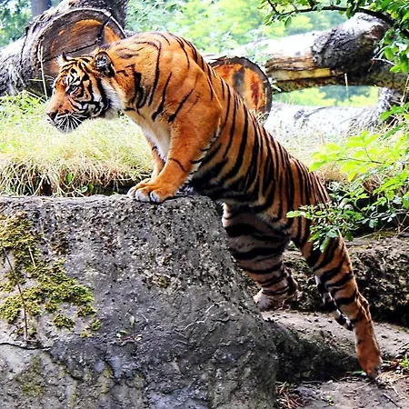 Apartment Break By Better Place *